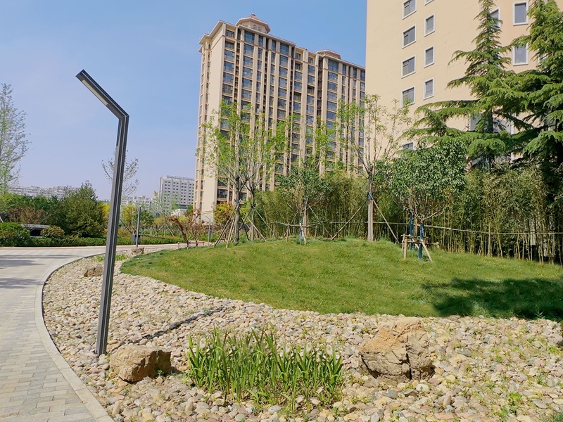 新城東路（創(chuàng)新街-北宮街）口袋公園工程